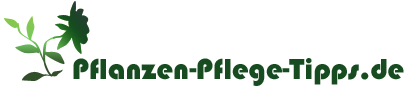 Pflanzen-Pflege-Tipps.de Pflanzen-Pflege-Tipps.de